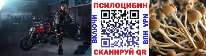 Псилоцибиновые грибы мицелий Радужный
