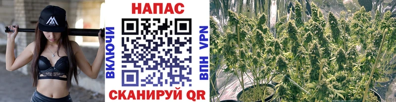 купить наркотик  Радужный  shop Telegram  Бошки Шишки индика 